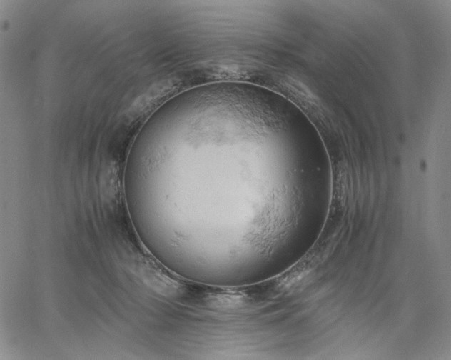 X0000061740318200512091617