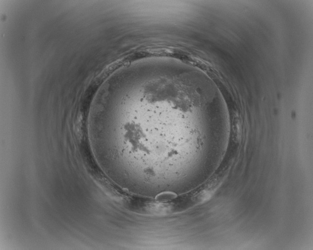 X0000061740319200512091617