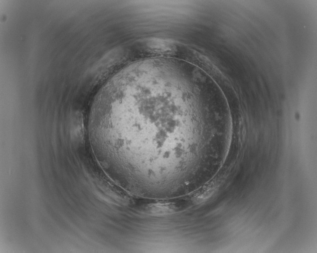 X0000061740320200512091617