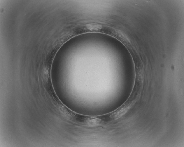 X0000061740321200512091617