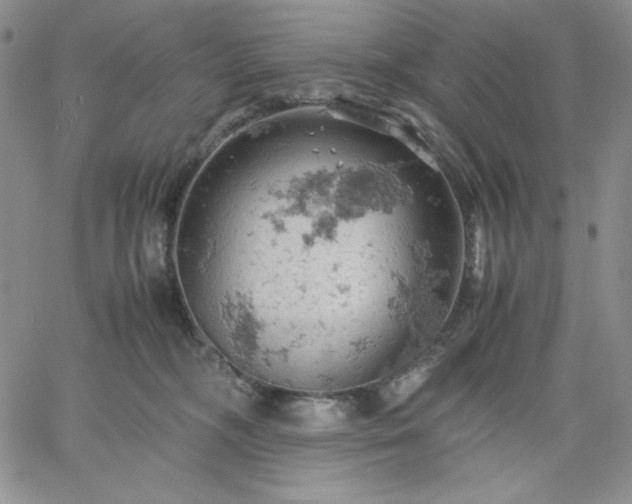 X0000061740326200512091617