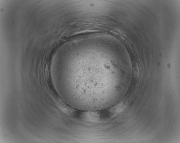 X0000061740327200512091617