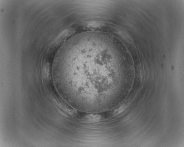 X0000061740328200512091617