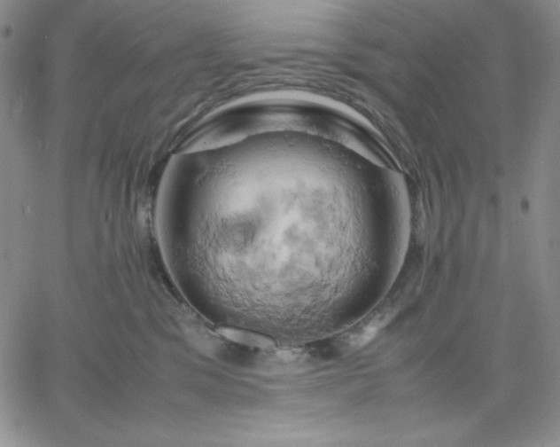 X0000061740329200512091617