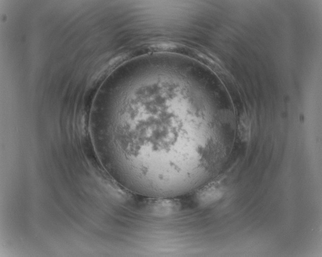 X0000061740330200512091617