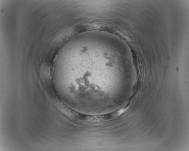 X0000061740331200512091617