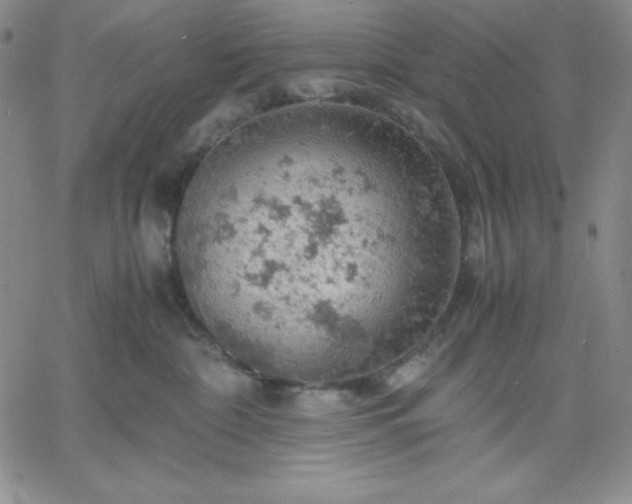 X0000061740332200512091617