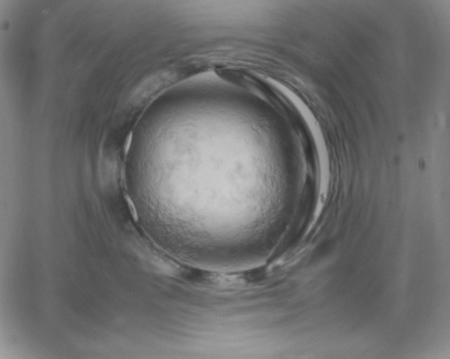 X0000061740333200512091617