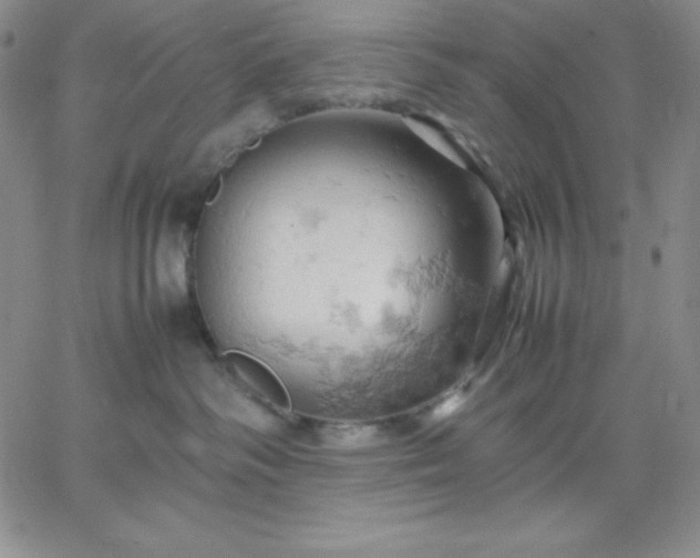 X0000061740334200512091617