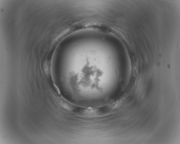 X0000061740335200512091617