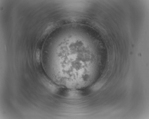 X0000061740336200512091617