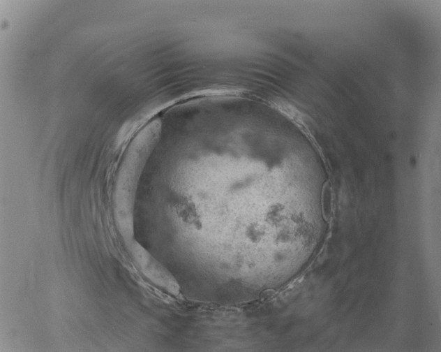 X0000061740337200512091616