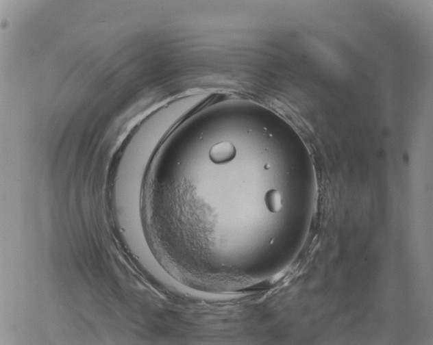 X0000061740338200512091616