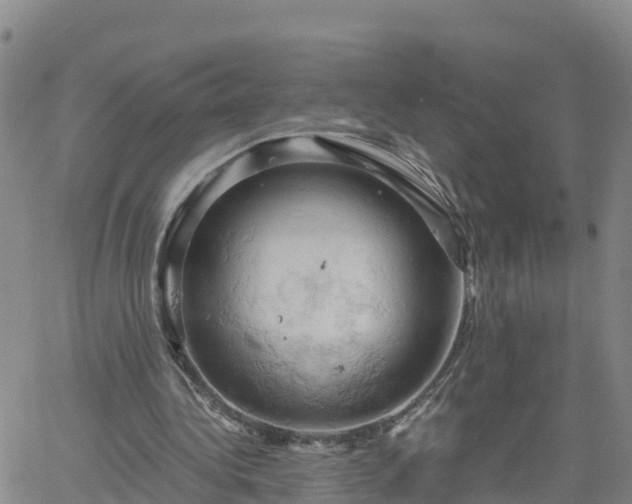 X0000061740340200512091616