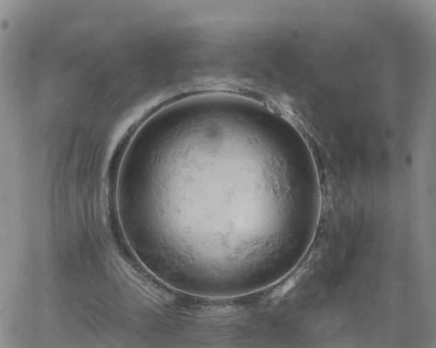 X0000061740342200512091616