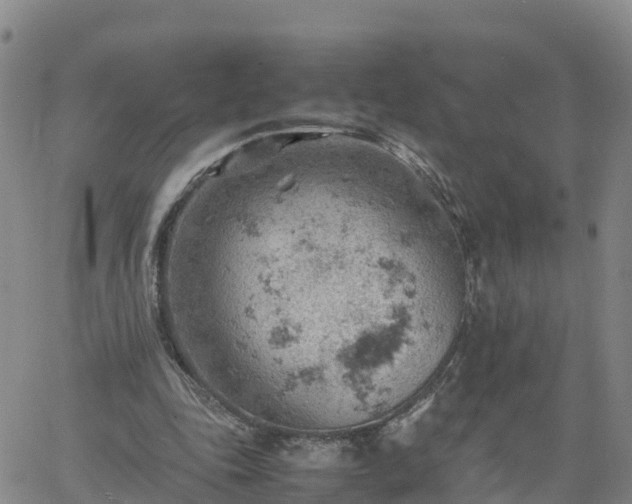 X0000061740343200512091616