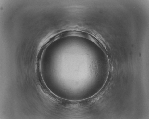 X0000061740344200512091616