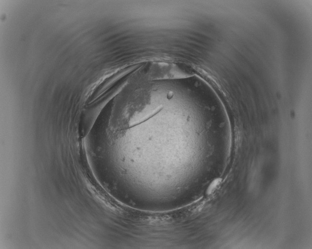 X0000061740345200512091616