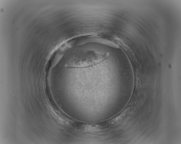 X0000061740346200512091616