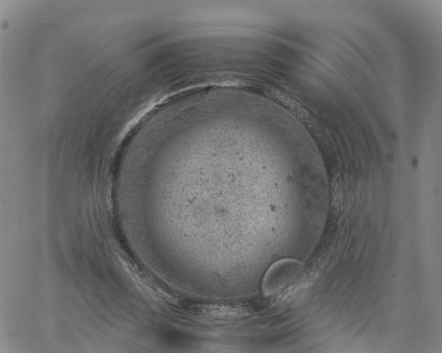 X0000061740347200512091616