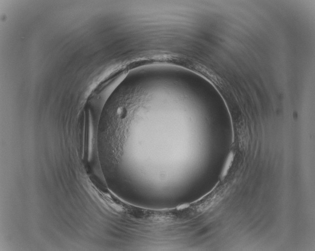 X0000061740350200512091616