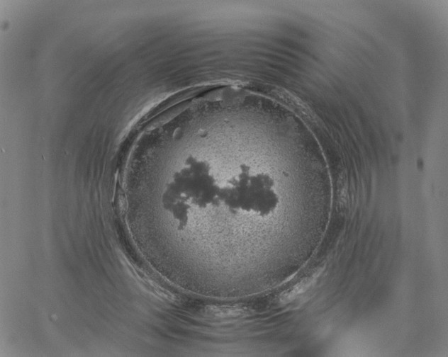 X0000061740351200512091616