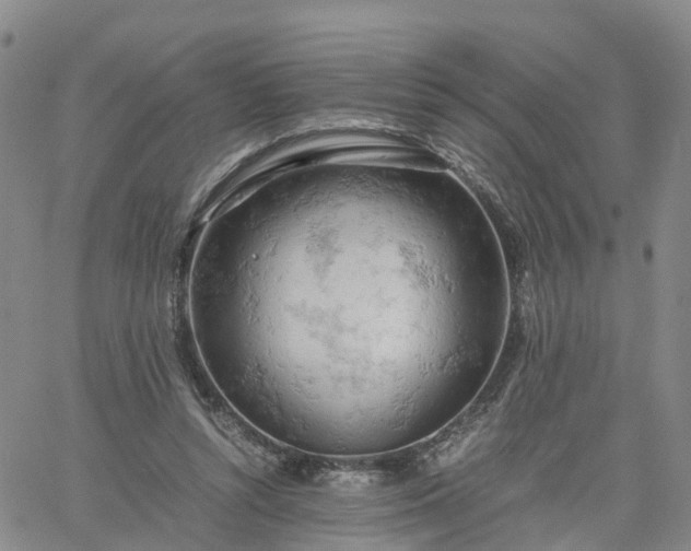 X0000061740352200512091616