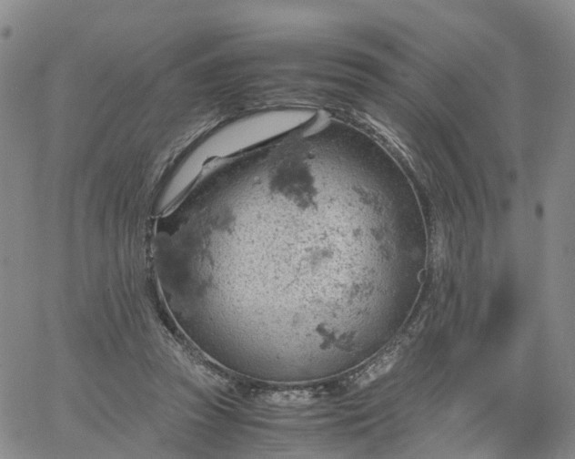 X0000061740353200512091616