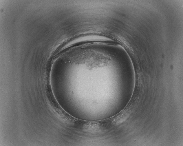 X0000061740354200512091616