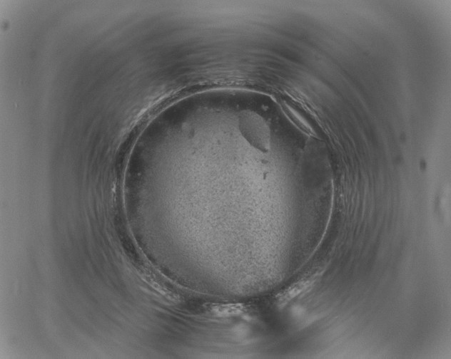 X0000061740355200512091616