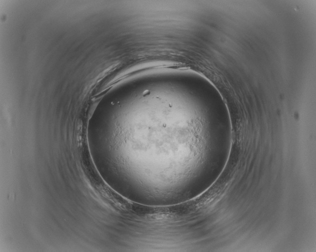 X0000061740356200512091616