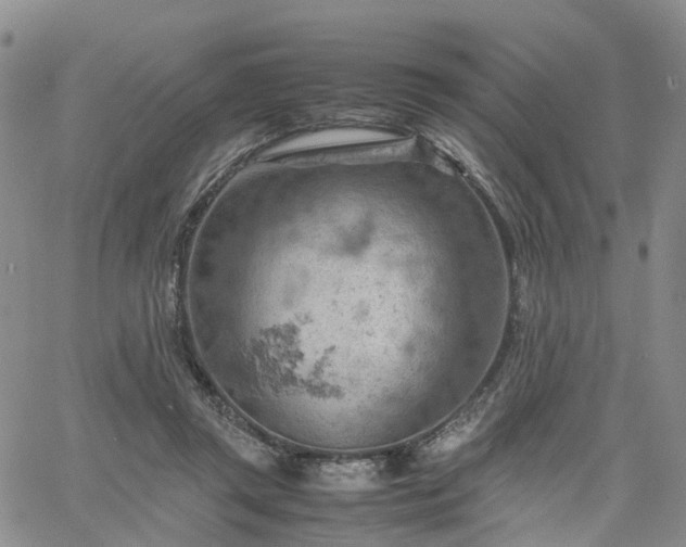 X0000061740357200512091616