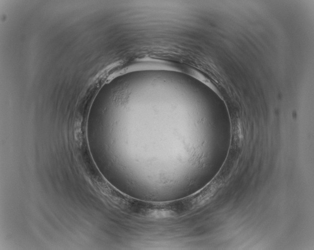 X0000061740360200512091616