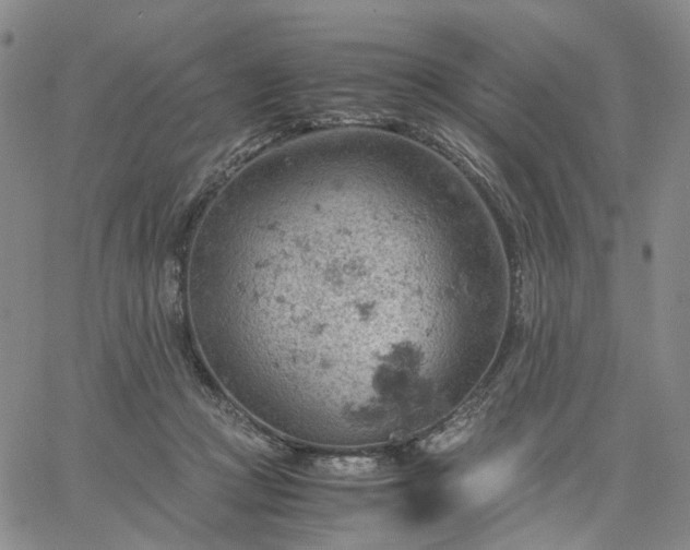 X0000061740361200512091616