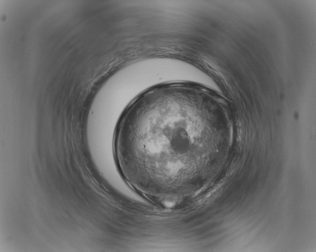 X0000061740362200512091616