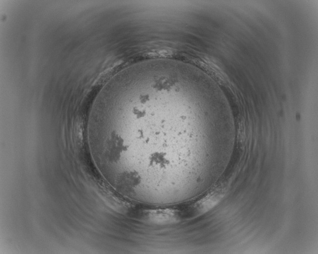 X0000061740363200512091616