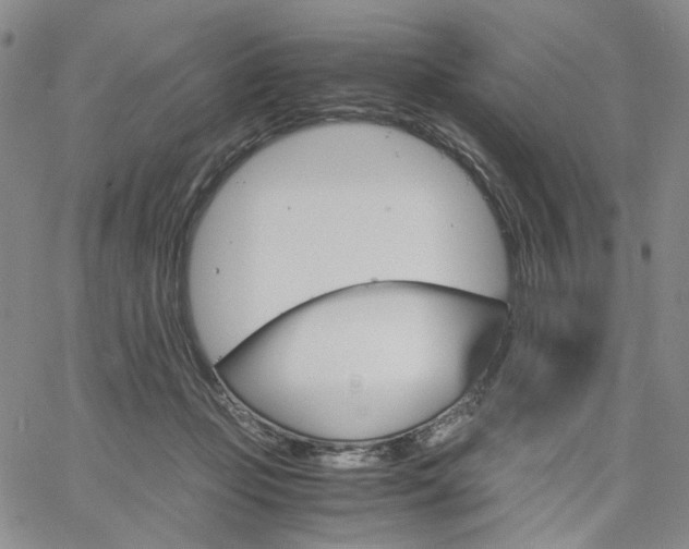 X0000061740365200512091616