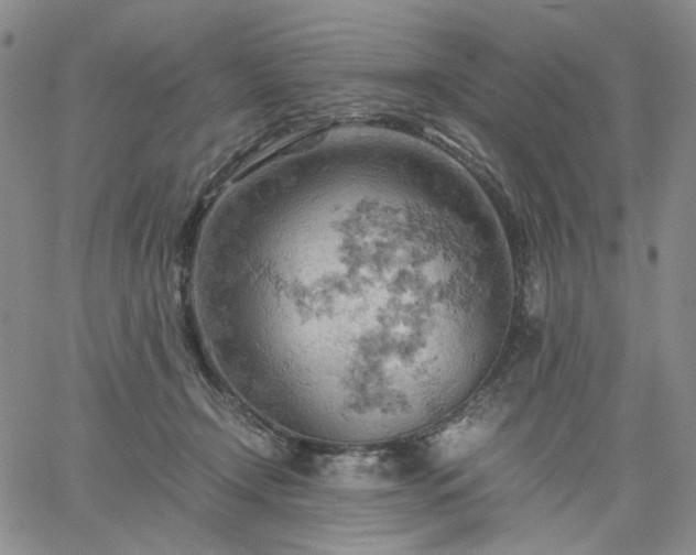 X0000061740366200512091616