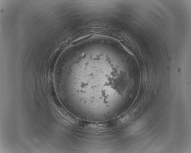 X0000061740367200512091616