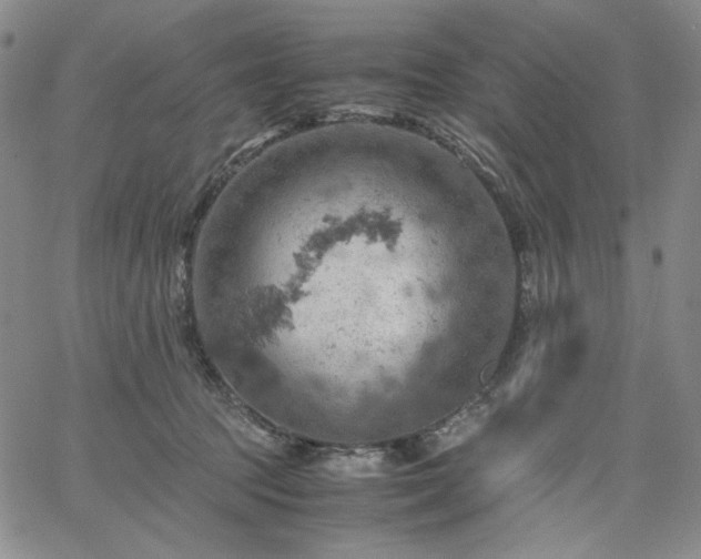 X0000061740369200512091616