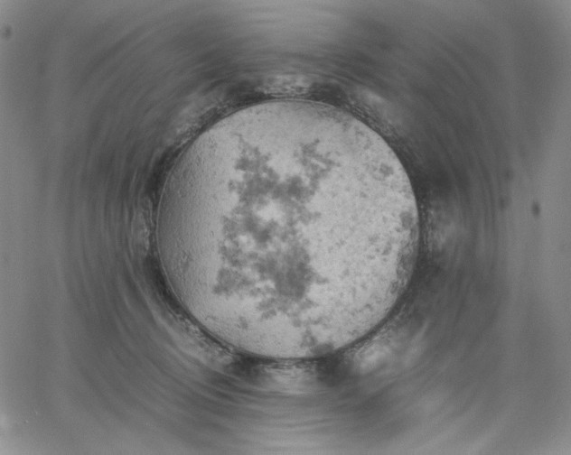 X0000061740370200512091616