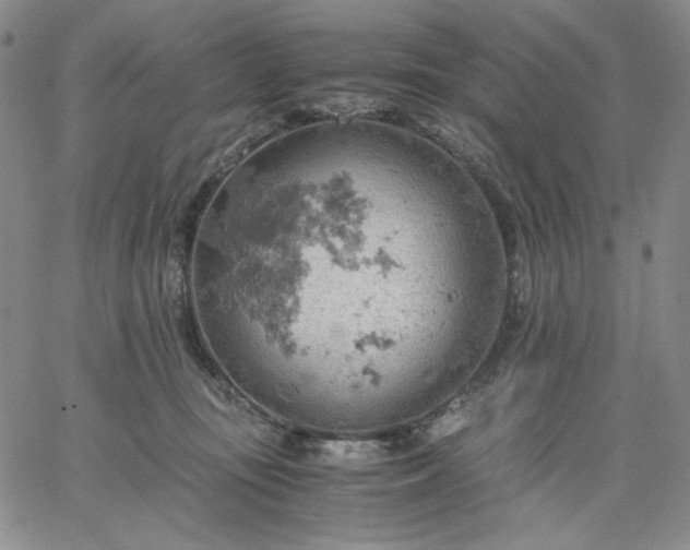 X0000061740371200512091616