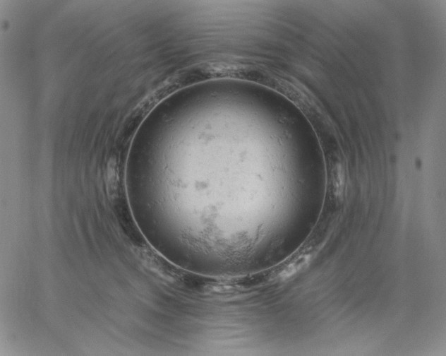 X0000061740372200512091616