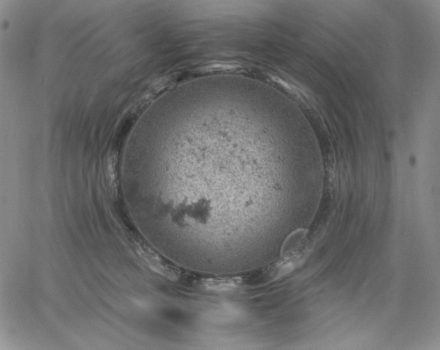 X0000061740373200512091616