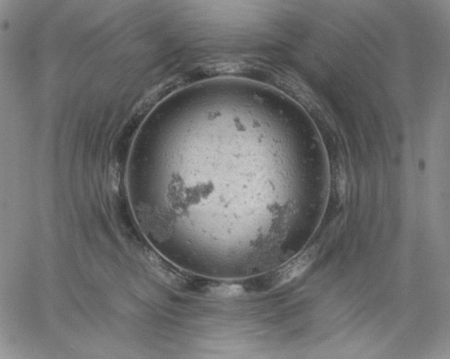 X0000061740374200512091616