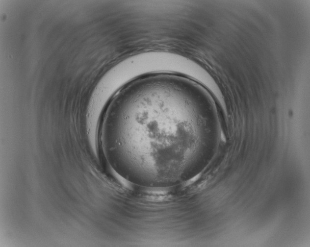 X0000061740375200512091616