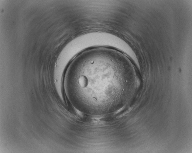 X0000061740376200512091616