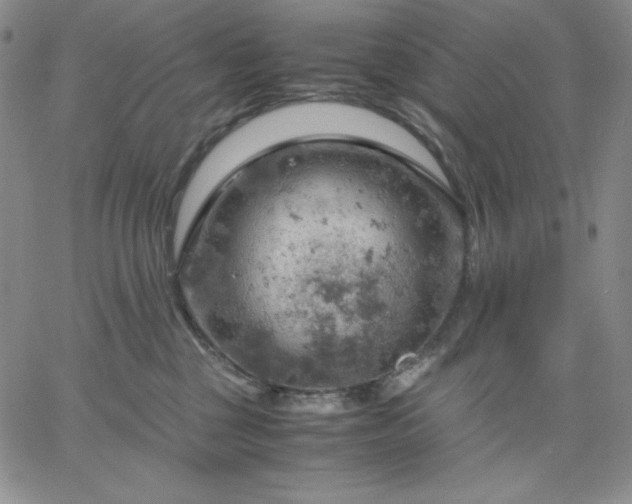 X0000061740377200512091616