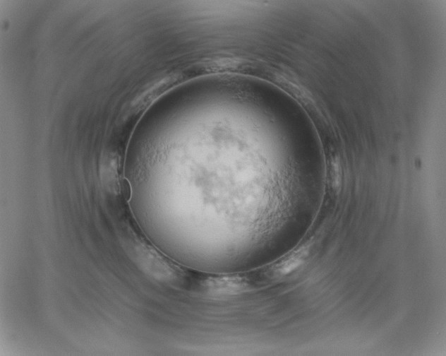 X0000061740378200512091616