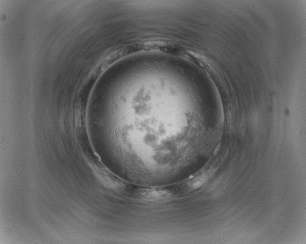 X0000061740379200512091617